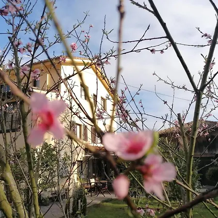 Casafer Country house *