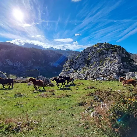Casafer * Naves (Asturias)